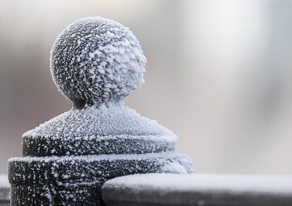 Бесснежные зимы, летом жарче +40: погода в Москве на неделю и в будущем