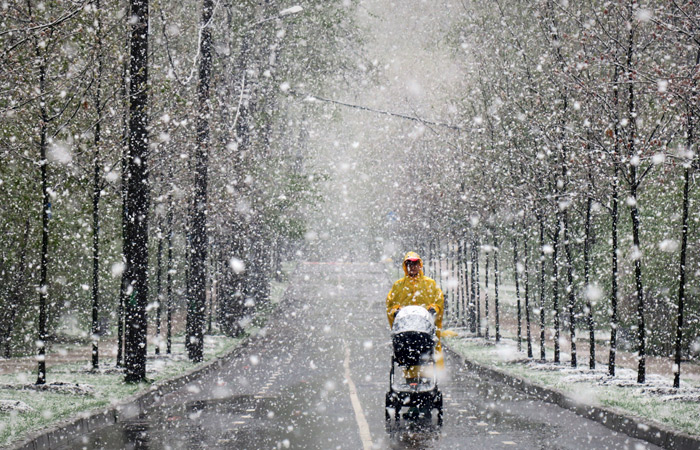 Дума приняла закон о продлении программы маткапитала до 31 декабря 2030 года