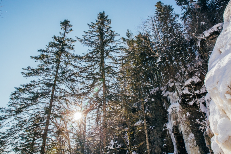 Фото: primamedia.ru