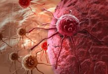 Материнство и контрацепция значительно снижают риск онкологии яичников 60d59bd2-bf62-4ae3-9d43-987b40ce2548-67f40c74