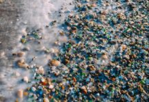 Погодные условия в Приморье в начале февраля 7504b386-e1d1-4434-89f9-3ecda994aaf1-67f2c6f0