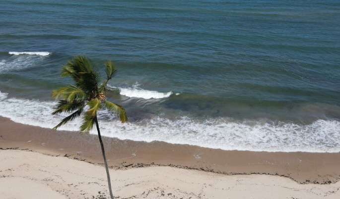 Куда улететь без визы: 3 направления для россиян