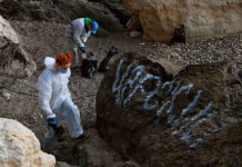 Масштабная очистка Черного моря от нефтепродуктов 89d262a5-4c00-4cc8-a062-0e9520d3ae2f-67f6b78d