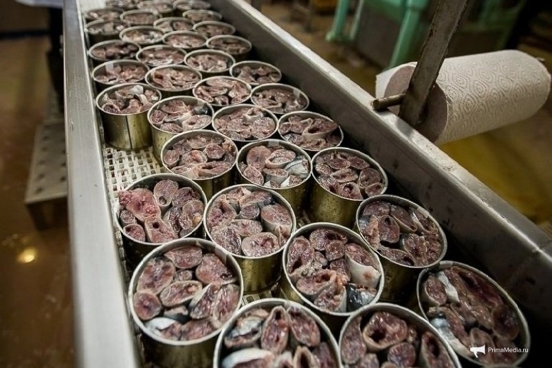 Фото: primamedia.ru