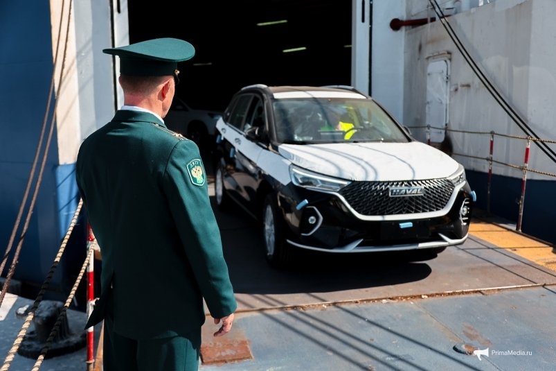 Выгрузка китайских автомобилей в порту Приморья Илья Аверьянов, ИА PrimaMedia