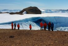 Важное научное открытие в Антарктиде поможет сохранить природу a7061461-19e1-4fe4-8b2d-5f4eb3e9917d-67fab302