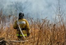 Авиалесоохрана предупреждает о необходимости готовности к природным вызовам в Приморье avialesoohrana preduprezhdaet o neobhodimosti gotovnosti k prirodnym vyzovam v primore-urbandigest-ru-174062250100-0