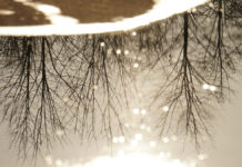 Ранняя весна порадует россиян теплом и солнцем Лужи от таяния снегаПарк Братеевс