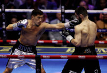 Дмитрий Бивол готовится к новому бою против Артура Бетербиева dmitrij bivol gotovitsya k novomu boyu protiv artura beterbieva-urbandigest-ru-174077539800-0