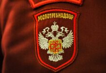 Cанитарно-карантинный контроль пассажиров в аэропорту Внуково