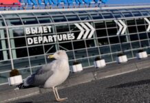 Лайнер, совершивший вынужденную посадку в Польше, готов к вылету в Египет fa47e961-d4ed-4701-96e2-d2ac0cefe4a3-68053715