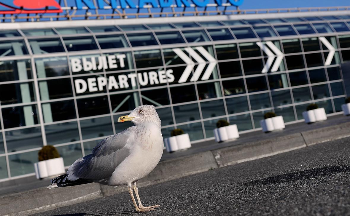 Аэропорт Храброво (Виталий Невар / РИА Новости)