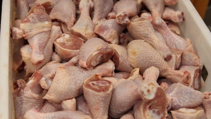 Курятина Ксения Письменова, ИА EAOMedia