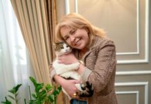 История Муси: кошка, завоевавшая сердца Ялты istoriya musi koshka zavoevavshaya serdcza yalty-urbandigest-ru-174068737700-0