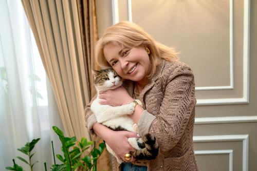 Не каждому человеку так сострадают, как кошке из «Ласточкина гнезда»