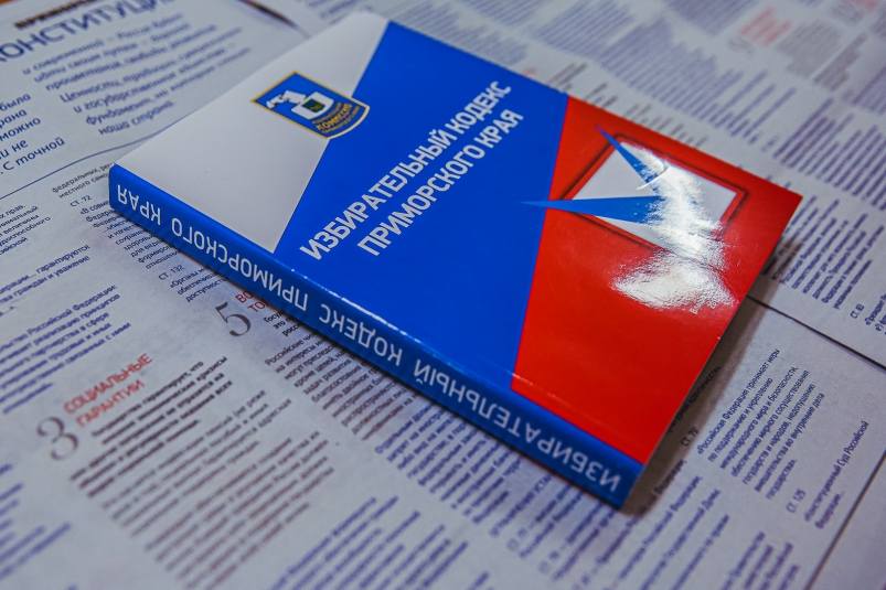 избирательный кодекс, выборы Мария Смитюк, ИА PrimaMedia