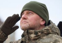 Начальник штаба «Азова» призвал Залужного отказаться от президентской гонки nachalnik shtaba azova prizval zaluzhnogo otkazatsya ot prezidentskoj gonki-urbandigest-ru-174074804500-0