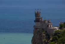 Кошка Муся спасена после падения с высоты Ласточкиного гнезда koshka musya spasena posle padeniya s vysoty lastochkinogo gnezda-urbandigest-ru-174051588000-0