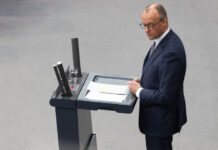 Александр Рар видит шанс для консервативного союза Мерца и АдГ в Германии aleksandr rar vidit shans dlya konservativnogo soyuza mercza i adg v germanii-urbandigest-ru-174281585300-0