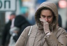 Иммунитет и аллергия как найти баланс для здоровья советы от Надежды Логиной immunitet i allergiya kak najti balans dlya zdorovya sovety ot nadezhdy loginoj-urbandigest-ru-174191472300-0