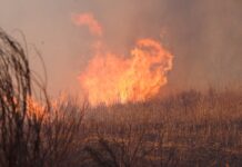 МЧС России сообщило о ликвидации последствий ландшафтных пожаров в Приморье mchs rossii soobshhilo o likvidaczii posledstvij landshaftnyh pozharov v primore-urbandigest-ru-174119647900-0