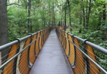 На Воробьевых горах открыли интерактивную экоплощадку na vorobevyh gorah otkryli interaktivnuyu ekoploshhadku-urbandigest-ru-174100406100-0