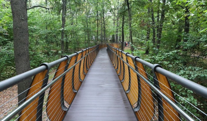 На Воробьевых горах организовали экоплощадку