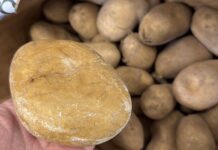 Неожиданная находка MrGingerRock в мешке картофеля восхитила Reddit neozhidannaya nahodka v meshke kartofelya voshitila -urbandigest-ru-174279725000-0