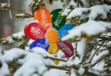 Похолодание и снег ожидают Приморье в выходные дни poholodanie i sneg ozhidayut primore v vyhodnye dni-urbandigest-ru-174180846700-0