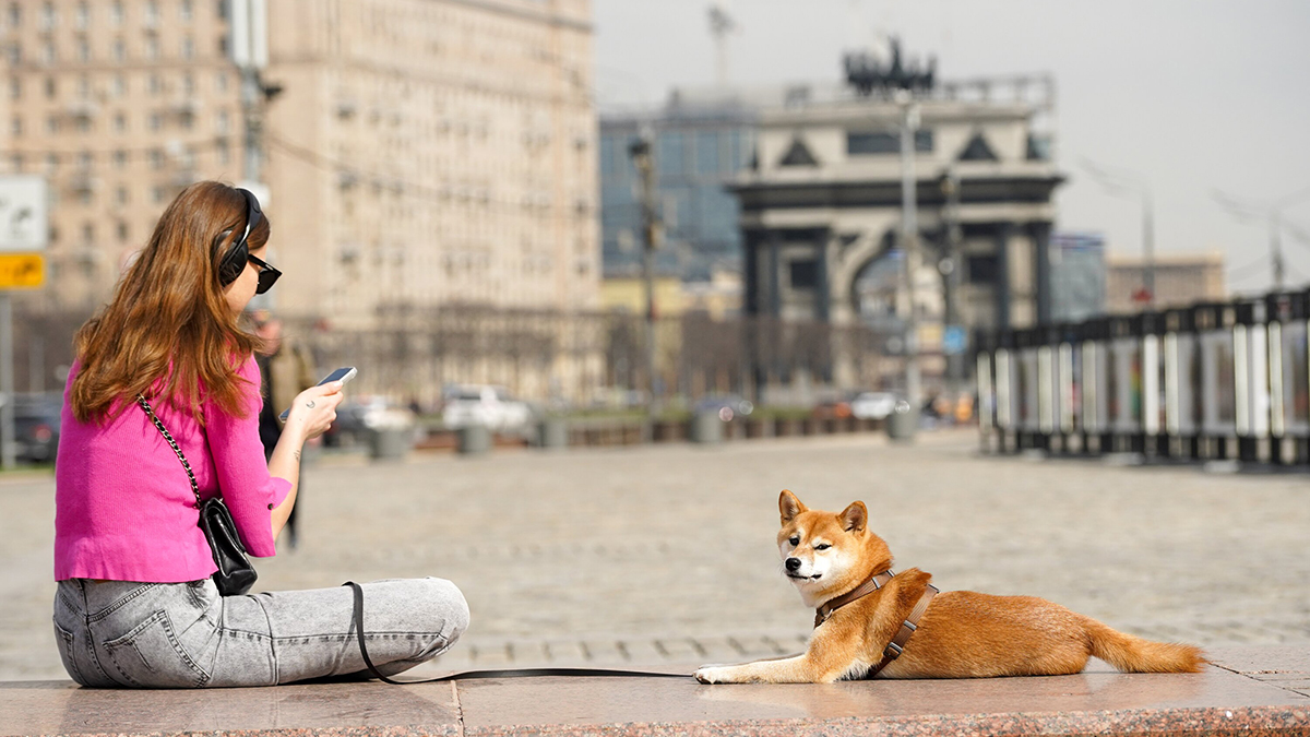 Погода в Москве с 31 марта по 6 апреля 2025