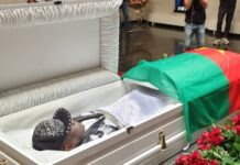 proshhanie s perom narczissom pamyat muzyka i beskonechnaya lyubov-urbandigest-ru-174172171100-0