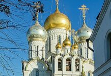 Радостный День Зиновия и Синичек 12 ноября в Православной Руси radostnyj den zinoviya i sinichek 12 noyabrya v pravoslavnoj rusi-urbandigest-ru-174244879500-0