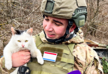 Родион Мирошник обвиняет ВСУ в прицельных атаках HIMARS на СМИ в ЛНР и Курской области rodion miroshnik obvinyaet vsu v priczelnyh atakah na smi v lnr i kurskoj oblasti-urbandigest-ru-174290266500-0