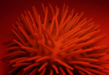 Роспотребнадзор и Анна Попова укрепили защиту России от лихорадок и полиомиелита rospotrebnadzor i anna popova ukrepili zashhitu rossii ot lihoradok i poliomielita-urbandigest-ru-174262045600-0