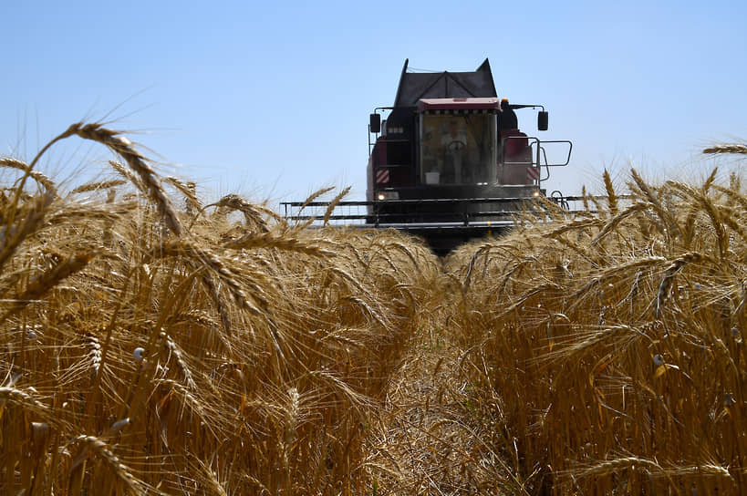 Российская пшеница 2025 оптимистичный прогноз ИКАР и стратегии Дмитрия Рылько-0