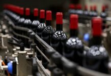 Россия увеличивает импорт французских вин на фоне изменений в поставках Евросоюза и Грузии rossiya uvelichivaet import franczuzskih vin na fone izmenenij v postavkah evrosoyuza i gruzii-urbandigest-ru-174279978200-0