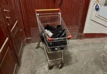 sanktpeterburgskie pravoohraniteli operativno zaderzhali podozrevaemogo v rezonansnom dele-urbandigest-ru-174327155700-0