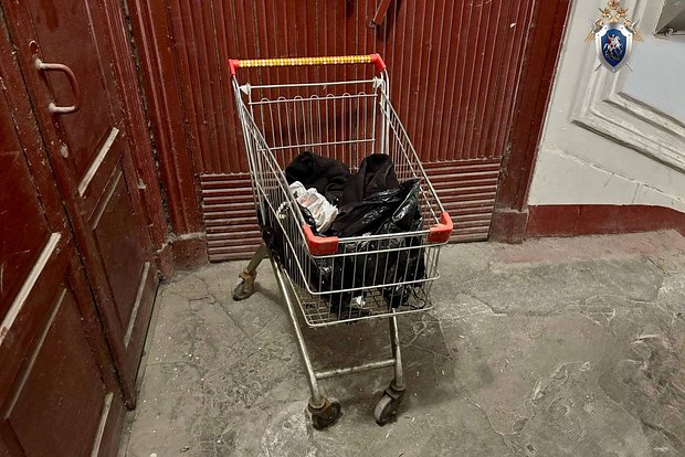 Вводная картинка