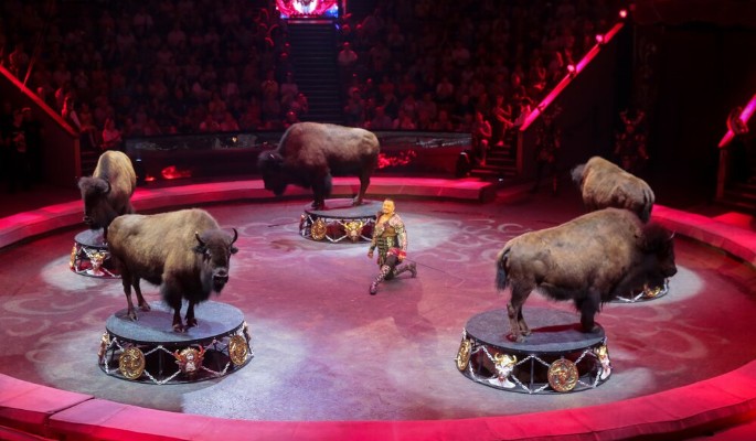 Сергей Собянин пригласил горожан проголосовать за архитектурную концепцию нового московского цирка