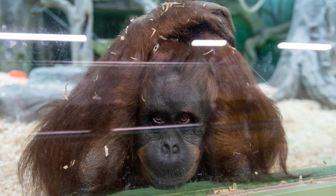 Врач объяснил основы поведения при магнитной буре