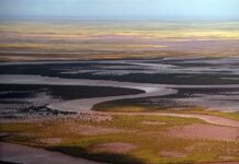 Тони Вулфорд и пять дней в пустыне Симпсон невероятное приключение в Австралии toni vulford i pyat dnej v pustyne simpson neveroyatnoe priklyuchenie v avstralii-urbandigest-ru-174308885700-0