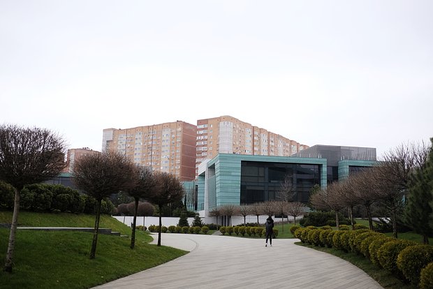 Вводная картинка