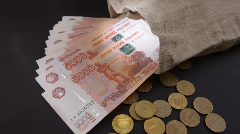 Депутат Нилов: на «выплату для домохозяек» смогут претендовать и мужчины