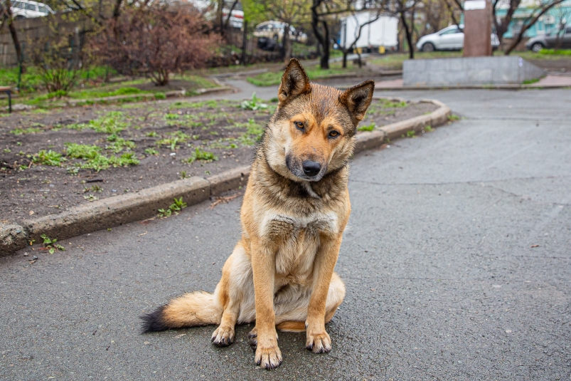 Фото: primamedia.ru