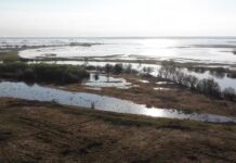 aleksandr moor rasskazal o merah protiv pavodkov v tyumenskoj oblasti-urbandigest-ru-174582871900-0