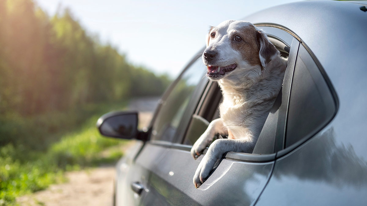 Как сэкономить на майских праздниках и отдохнуть