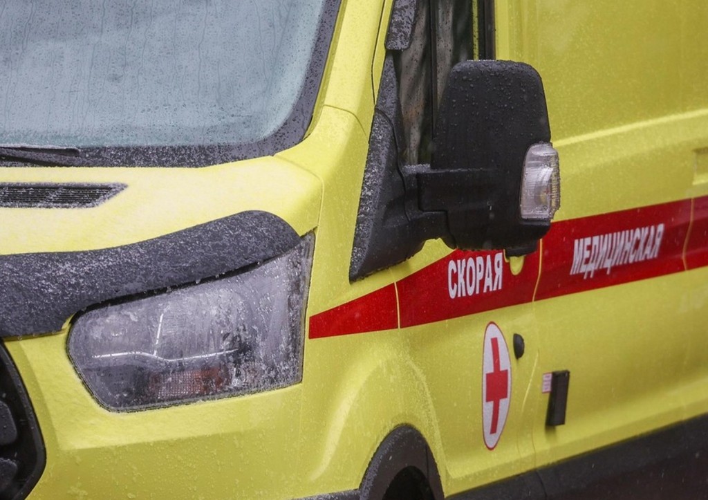 Собака искусала лицо двухлетней девочке в Ленобласти