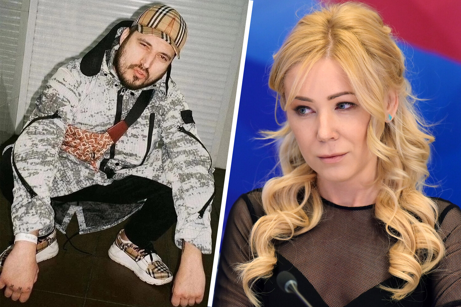 Екатерина Мизулина и Лига безопасного интернета в фокусе внимания МВД и парламента-0