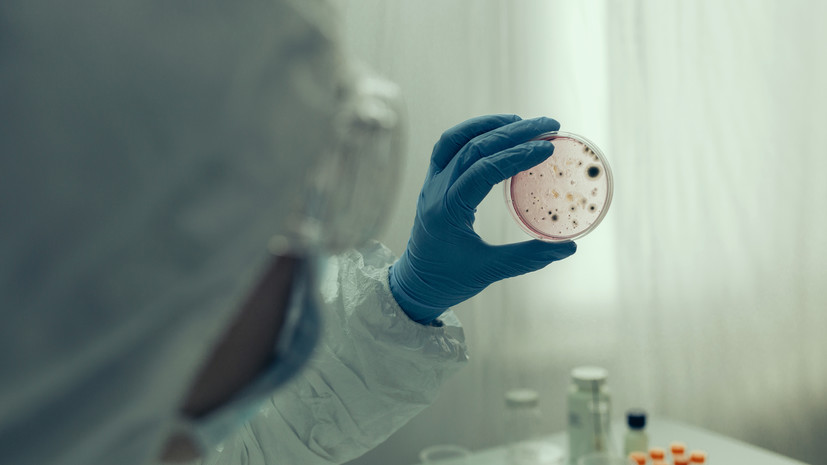 Врач Демьяновская: в России налажена система эпидемиологического контроля холеры