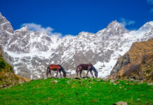 Эльбрус и Чегемские водопады вдохновляют на путешествия по Кабардино-Балкарии с Еленой Агаршевой elbrus i chegemskie vodopady vdohnovlyayut na puteshestviya po kabardinobalkarii s elenoj agarshevoj-urbandigest-ru-174370861400-0